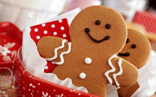 yvonnelin_kost_pepparkaka