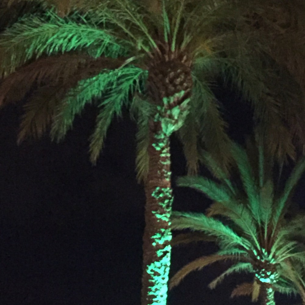 yvonnelin_livet_palmer_calafell