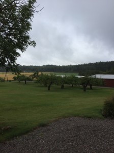 yvonnelin_livet_eknäs