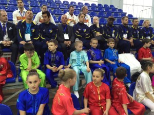 yvonnelin_wushu_barn_EM