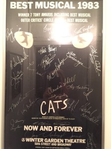 yvonnelin_livet_cats_träning