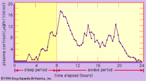 yvonnelin_cortisol-time