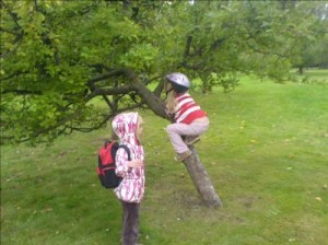 yvonnelin_pallaapplen